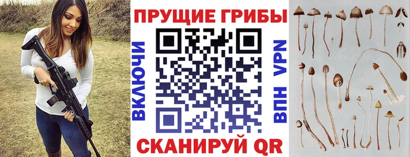 купить закладку Малгобек Галлюциногенные грибы мухоморы